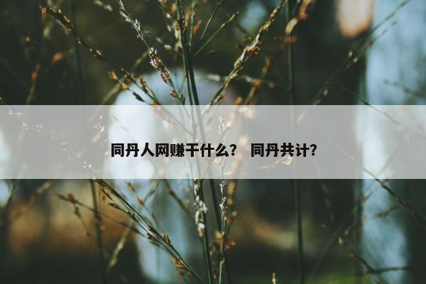 同丹人网赚干什么？ 同丹共计？