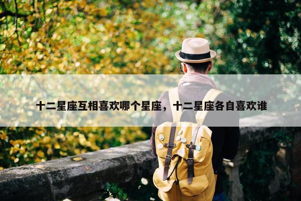 十二星座互相喜欢哪个星座，十二星座各自喜欢谁