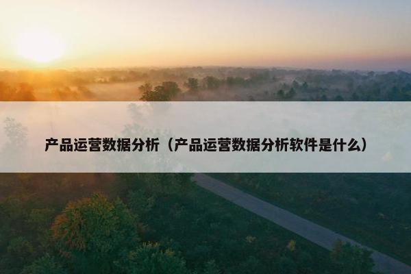产品运营数据分析（产品运营数据分析软件是什么）