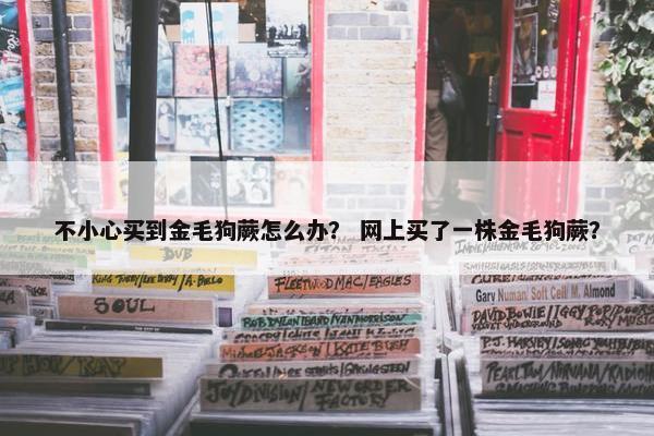 不小心买到金毛狗蕨怎么办？ 网上买了一株金毛狗蕨？