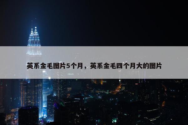英系金毛图片5个月，英系金毛四个月大的图片
