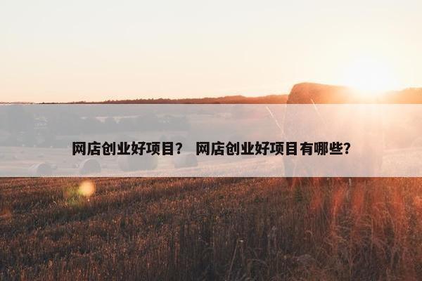 网店创业好项目？ 网店创业好项目有哪些？