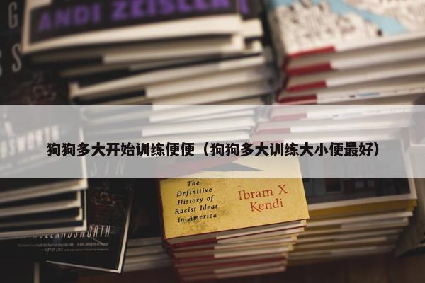 狗狗多大开始训练便便（狗狗多大训练大小便最好）