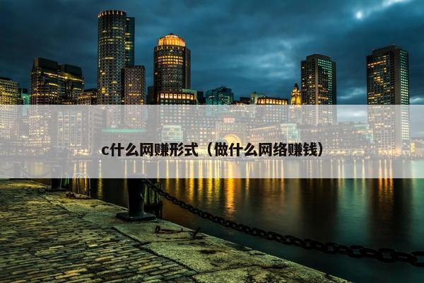c什么网赚形式（做什么网络赚钱）