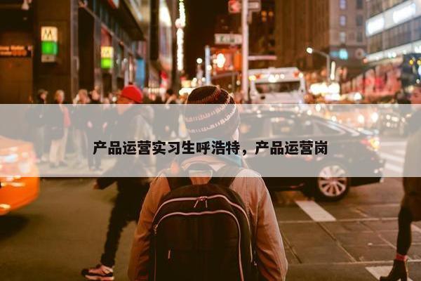 产品运营实习生呼浩特，产品运营岗