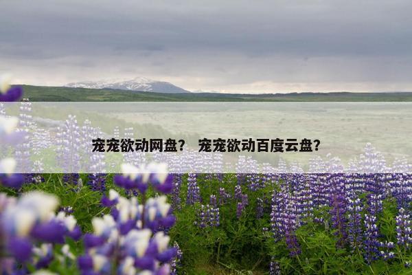 宠宠欲动网盘？ 宠宠欲动百度云盘？