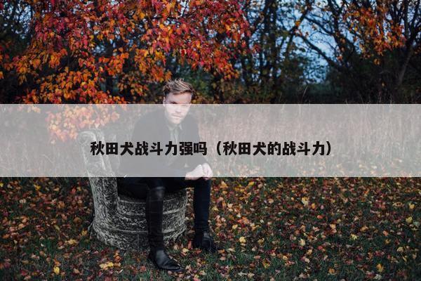 秋田犬战斗力强吗（秋田犬的战斗力）
