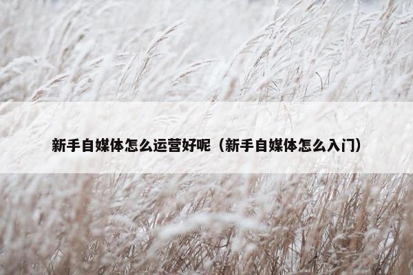 新手自媒体怎么运营好呢（新手自媒体怎么入门）