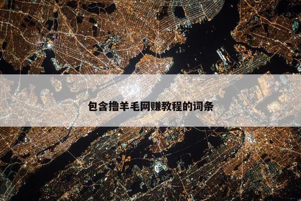 包含撸羊毛网赚教程的词条