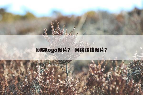 网赚logo图片？ 网络赚钱图片？