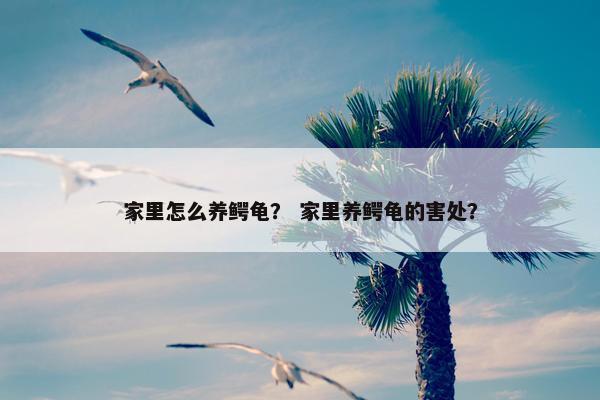 家里怎么养鳄龟？ 家里养鳄龟的害处？