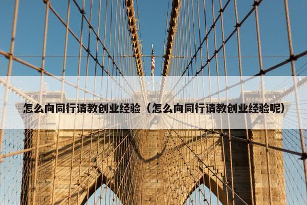 怎么向同行请教创业经验（怎么向同行请教创业经验呢）