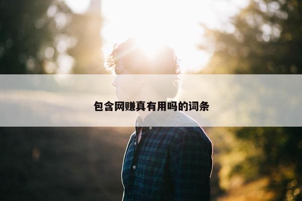 包含网赚真有用吗的词条