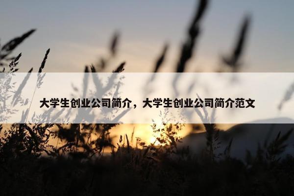 大学生创业公司简介，大学生创业公司简介范文