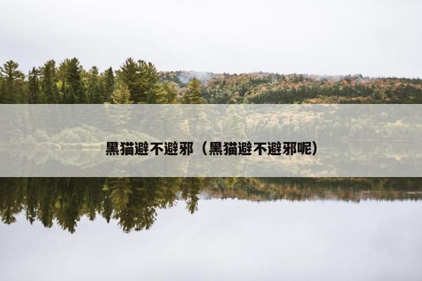 黑猫避不避邪（黑猫避不避邪呢）