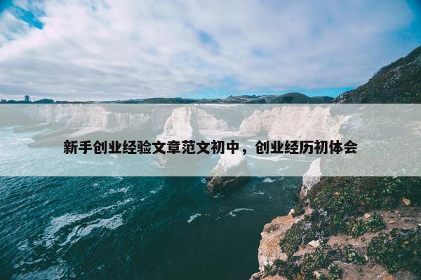 新手创业经验文章范文初中，创业经历初体会