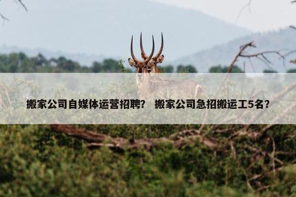 搬家公司自媒体运营招聘？ 搬家公司急招搬运工5名？