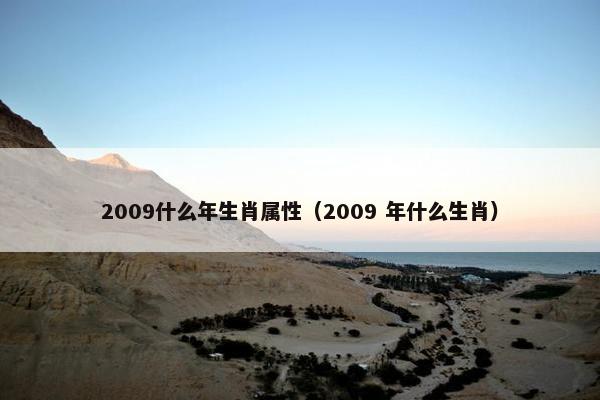 2009什么年生肖属性（2009 年什么生肖）