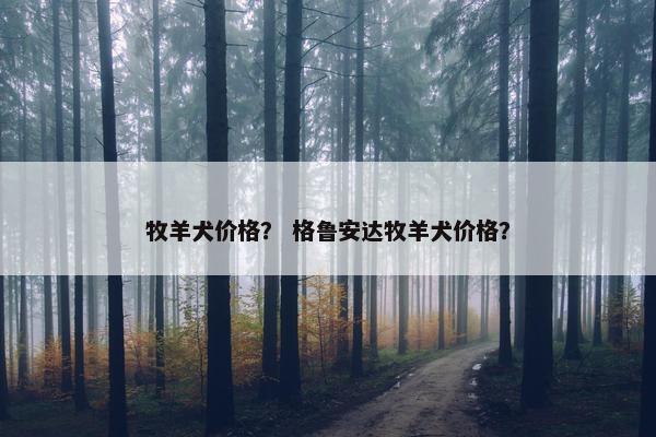 牧羊犬价格？ 格鲁安达牧羊犬价格？