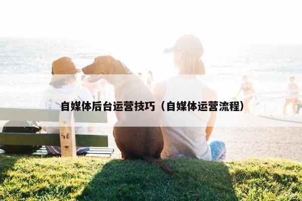 自媒体后台运营技巧（自媒体运营流程）
