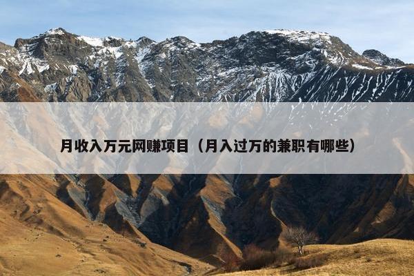 月收入万元网赚项目（月入过万的兼职有哪些）