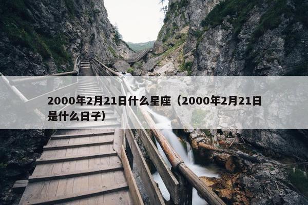 2000年2月21日什么星座（2000年2月21日是什么日子）