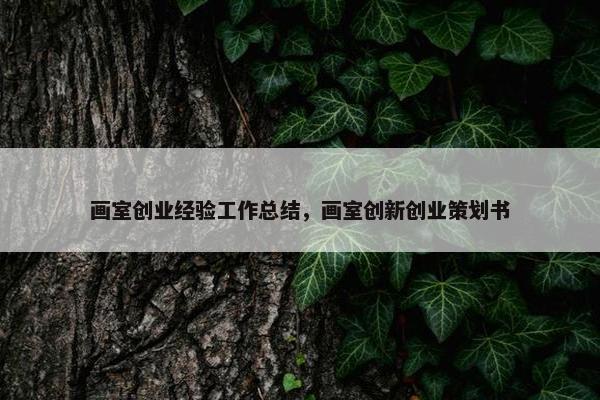 画室创业经验工作总结，画室创新创业策划书