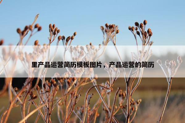 里产品运营简历模板图片，产品运营的简历