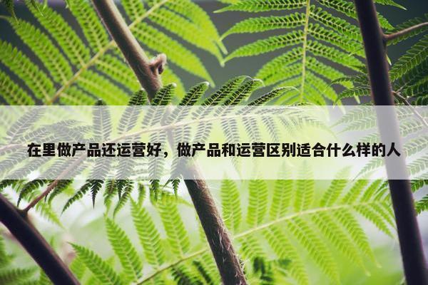 在里做产品还运营好，做产品和运营区别适合什么样的人