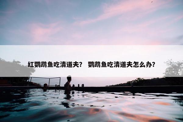 红鹦鹉鱼吃清道夫？ 鹦鹉鱼吃清道夫怎么办？