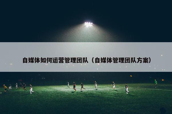 自媒体如何运营管理团队（自媒体管理团队方案）