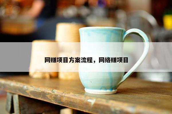 网赚项目方案流程，网络赚项目