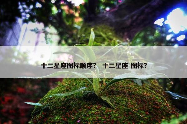 十二星座图标顺序？ 十二星座 图标？