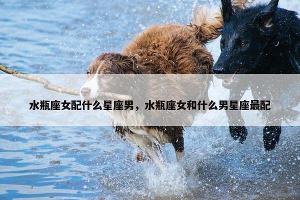 水瓶座女配什么星座男，水瓶座女和什么男星座最配