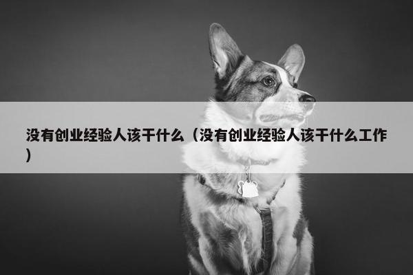 没有创业经验人该干什么（没有创业经验人该干什么工作）