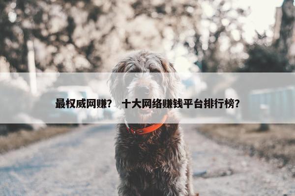 最权威网赚？ 十大网络赚钱平台排行榜？