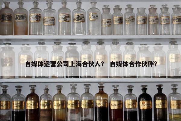 自媒体运营公司上海合伙人？ 自媒体合作伙伴？