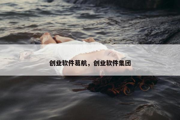 创业软件葛航，创业软件集团