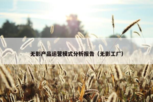 无影产品运营模式分析报告（无影工厂）