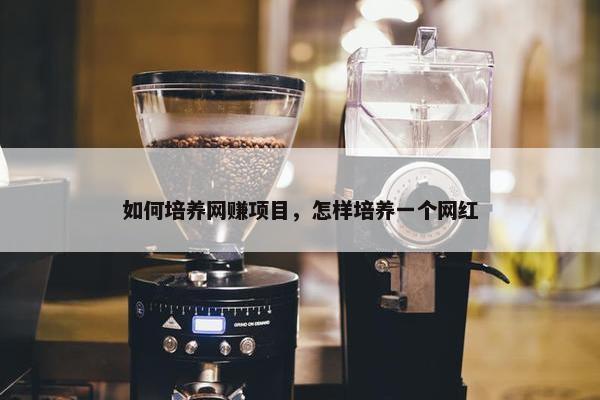 如何培养网赚项目，怎样培养一个网红