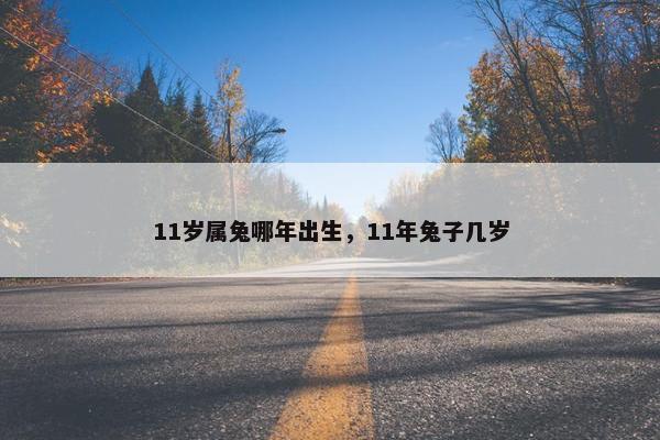 11岁属兔哪年出生，11年兔子几岁