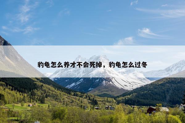 豹龟怎么养才不会死掉，豹龟怎么过冬
