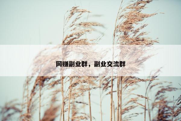 网赚副业群，副业交流群