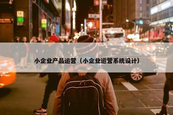 小企业产品运营（小企业运营系统设计）