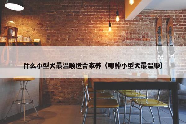 什么小型犬最温顺适合家养（哪种小型犬最温顺）