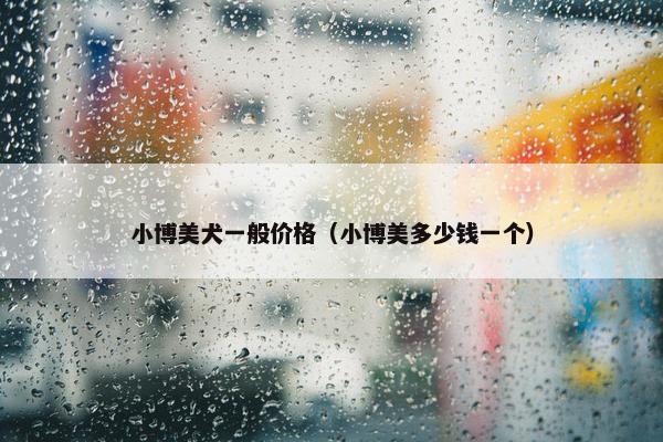 小博美犬一般价格（小博美多少钱一个）