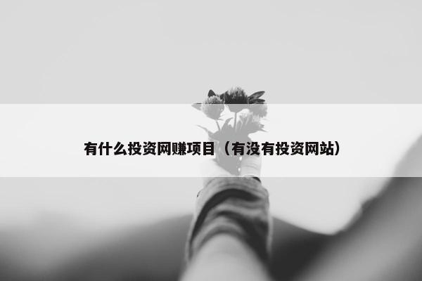 有什么投资网赚项目（有没有投资网站）