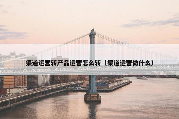 渠道运营转产品运营怎么转（渠道运营做什么）