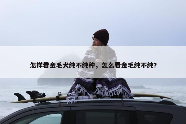 怎样看金毛犬纯不纯种，怎么看金毛纯不纯?