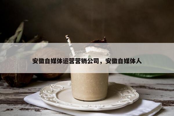 安徽自媒体运营营销公司，安徽自媒体人